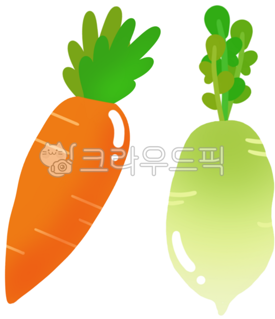 당근,당근일러스트,무,무일러스트,제주당근,제주무,야채,야채일러스트,채소,채소일러스트