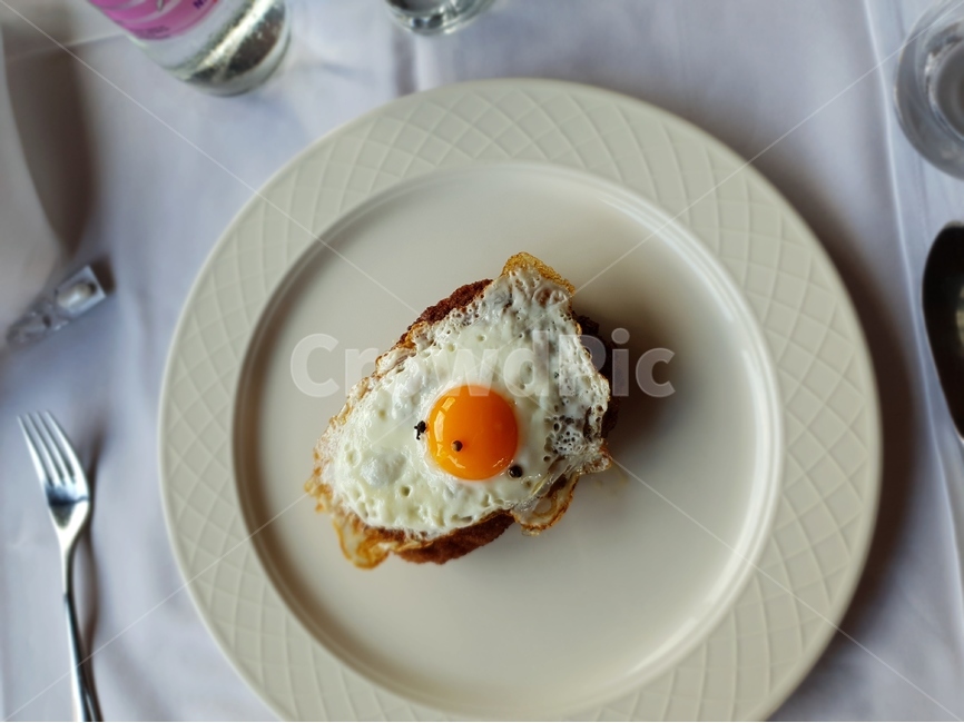 요리,달걀,계란,음식,치킨,닭고기,food,egg,chicken,음식,식재료,요리,food,cook,meal,dishes,food reserves