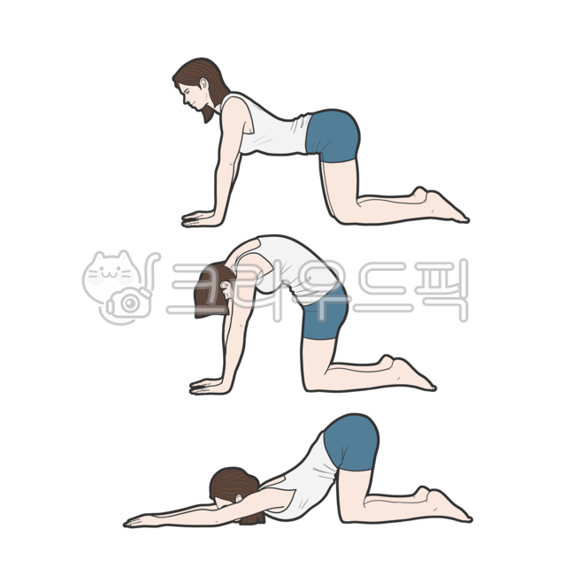메디컬,의학,일러스트,고양이자세,요가,운동,스트레칭,척추,체형,의료,의학,병원,medical,hospital,clinic,누끼,remove background