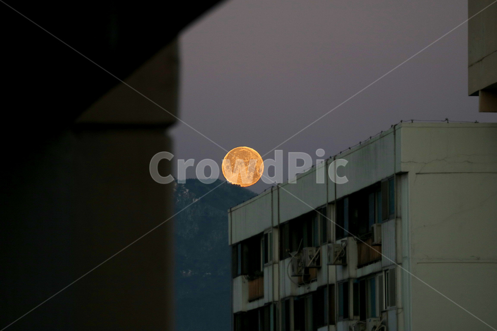 한국,아파트,달,환상,환상적,몽환적,보름달,건축물,건물외관,exterior,building,structure,architecture,construction