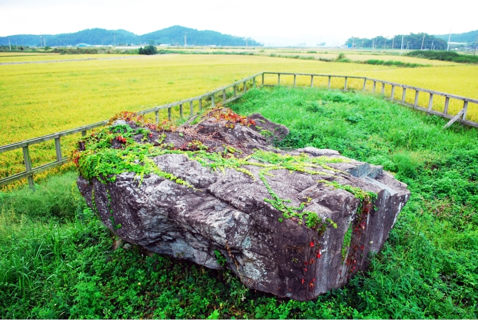 송정리고인돌,강진여행,청동기시대,자연경관,돌,암석,역사,고인돌,고인돌무덤,유적지,역사현장,청동기,큰바위,자연,풍경,nature,한국자연풍경,한국자연경관,koreanature,landscape,자연석,추수,가을들녘,자연,풍경,nature,landscape,한국자연풍경,한국자연경관,korea nature landscape,outdoors,옥외,field,들,rock,록
