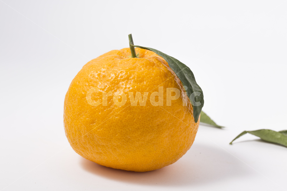 한라봉,과일,귤,감귤,오렌지,비타민,잎사귀,주황색,과일,열매,fruit