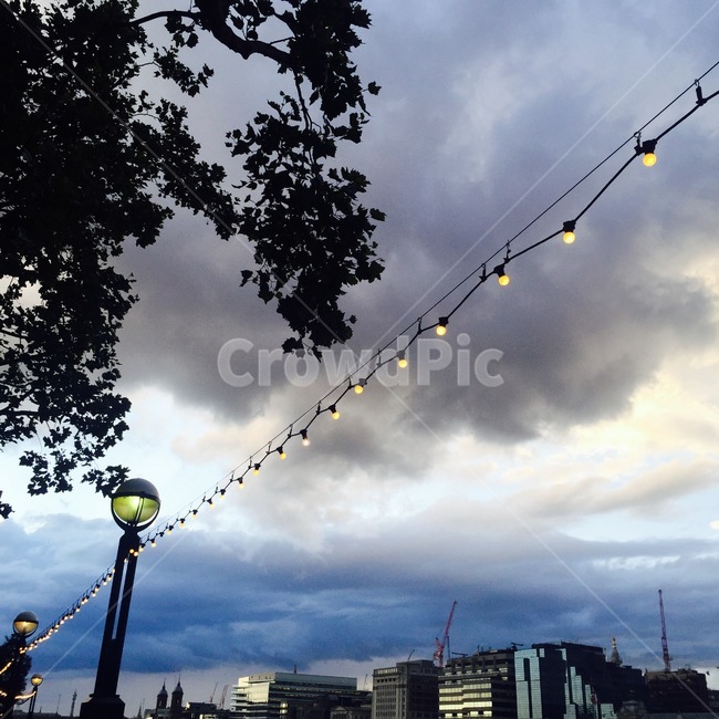 불빛,빛,나무,전등,하늘,건물,도시,도심,light,tree,sky,city,urban,구름,cloud