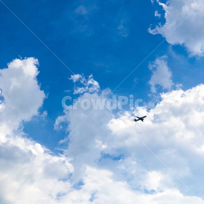 비행기,구름,하늘,파랑,가을,푸른하늘,sky,자연,풍경,nature,landscape
