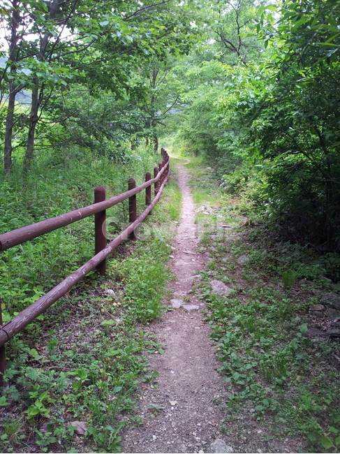 길,산길,등산로,산책로,trail,탐방로,자연,풍경,nature,landscape,path,통로