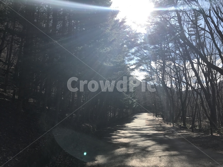 풍경,light,플레어,flare,자연