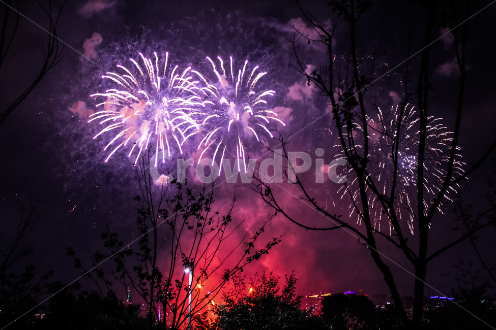 불꽃놀이,불꽃,폭발,불꽃축제,폭죽,장면,형형색색,밤하늘,밤,나무,즐거움,강렬함,행복,신기함,감성,하늘,구름,연기,firework,fireworks,fire,passion,pleasure,explosion,explode,colorful,tree,야외,나들이,여의도,공원,아이디어,번뇌,축제,폭발적인,이벤트,아름다움,밝음,빛,enthusiasm,park,festival,beautiful,bright,ecening,dark,view,light,shine,joy,happy,happiness,enjoy,intense,야경,밤,풍경,nightscape,night,landscape,축제,행사,festival,carnival,event