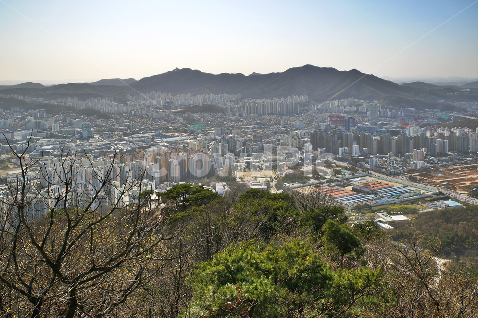 모락산,의왕시,안양시,도심풍경,경기도,도시,관악산