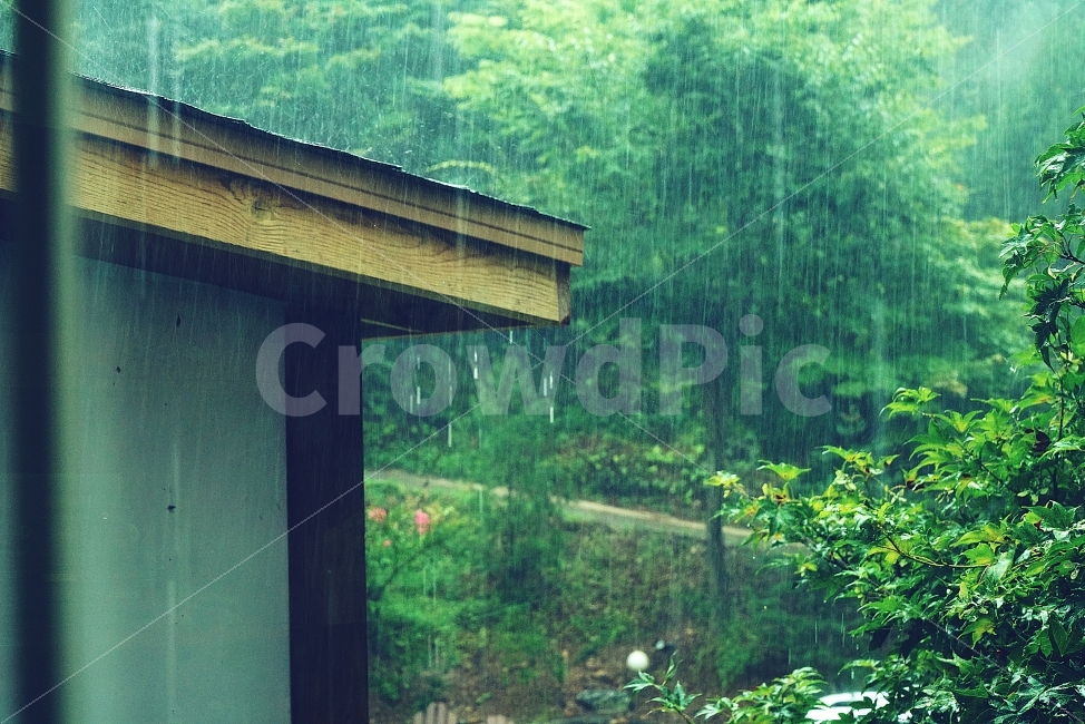 비,자연,여유,싱그러운,쉼,감성,sensible,feeling,비,비오는날,rain,rainy