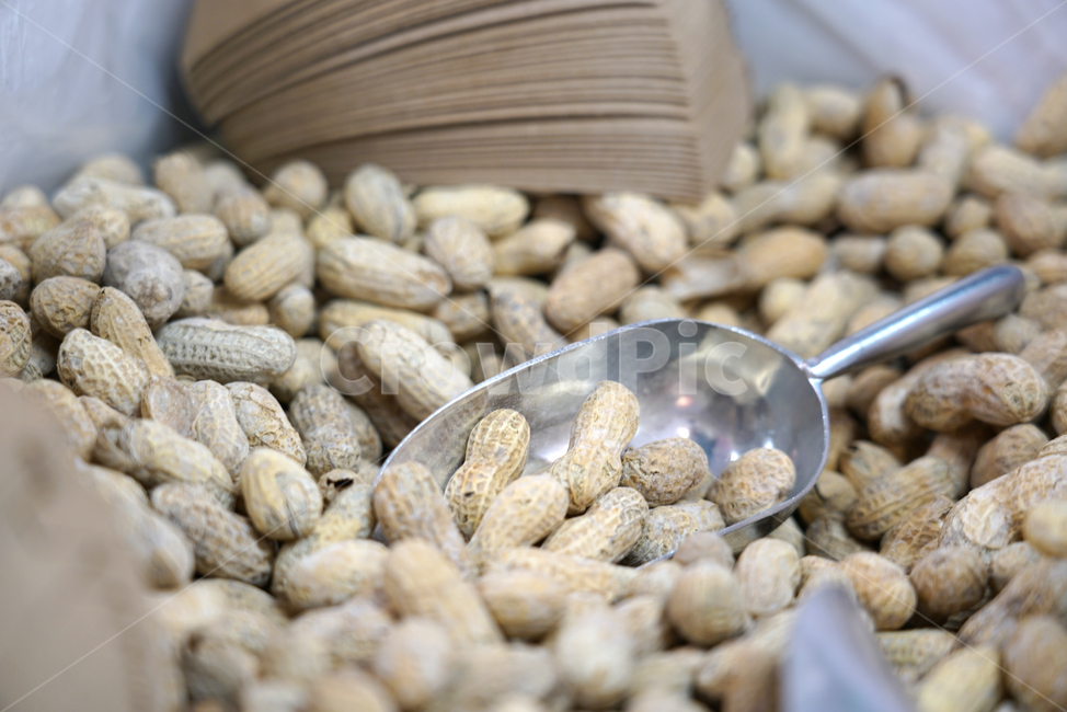 땅콩,견과류,너트,음식,식물,숟가락,스푼,spoon,plant,nut,야채,vegetable,콩류,견과류,beans,pulse,nuts,dry fruits