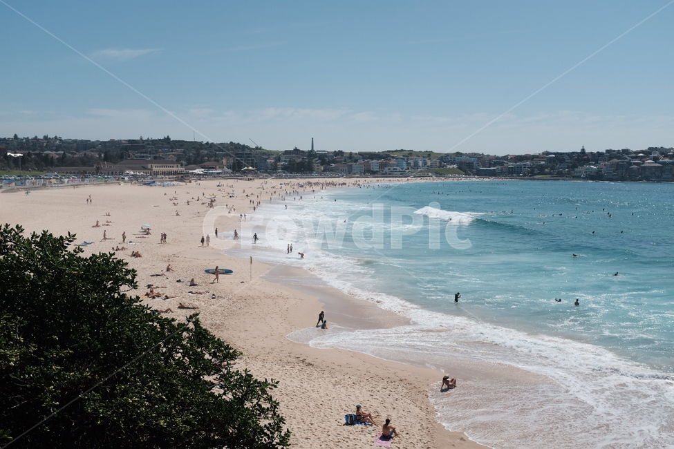 본다이비치,bondibeach,사람,바다,경치,풍경,자연,호주,시드니,바닷가,여름,summer,person,beach,해변,모래,수영,여행,휴가,자연,풍경,nature,landscape,한국자연풍경,한국자연경관,korea nature landscape,해변,바다,beach,sea,outdoors,옥외,ocean,대양,water,물,scenery,promontory,곶,shoreline,해안선,human,인간