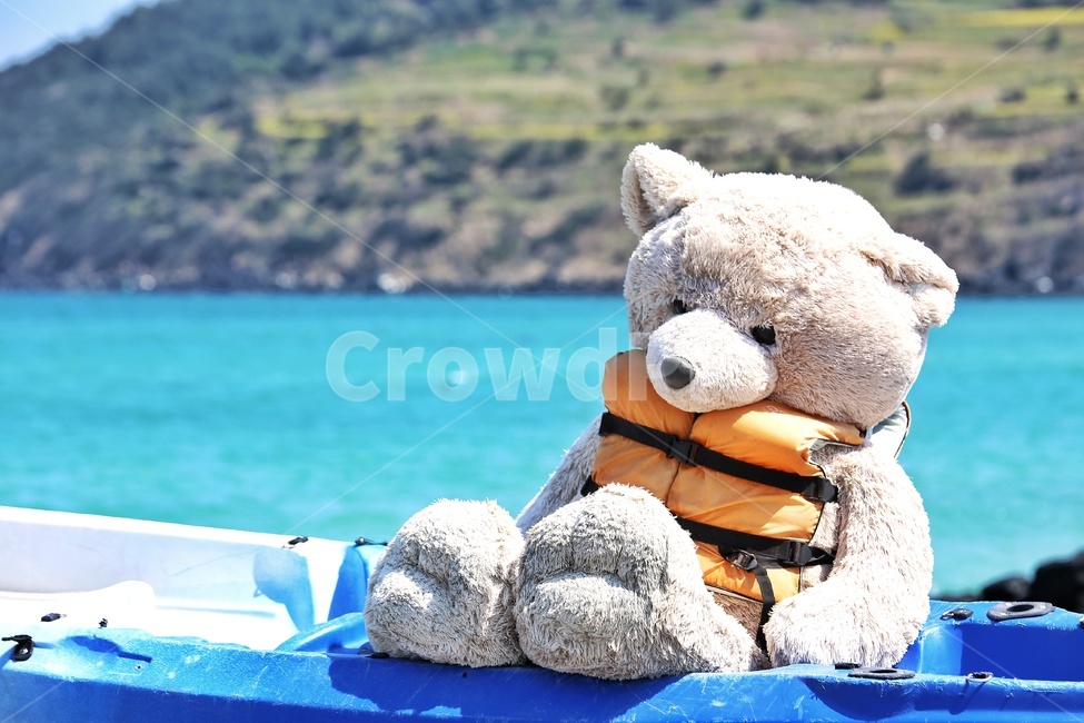 제주도,장난감,곰,곰인형,해수욕장,함덕해수욕장,korea,jeju,toy