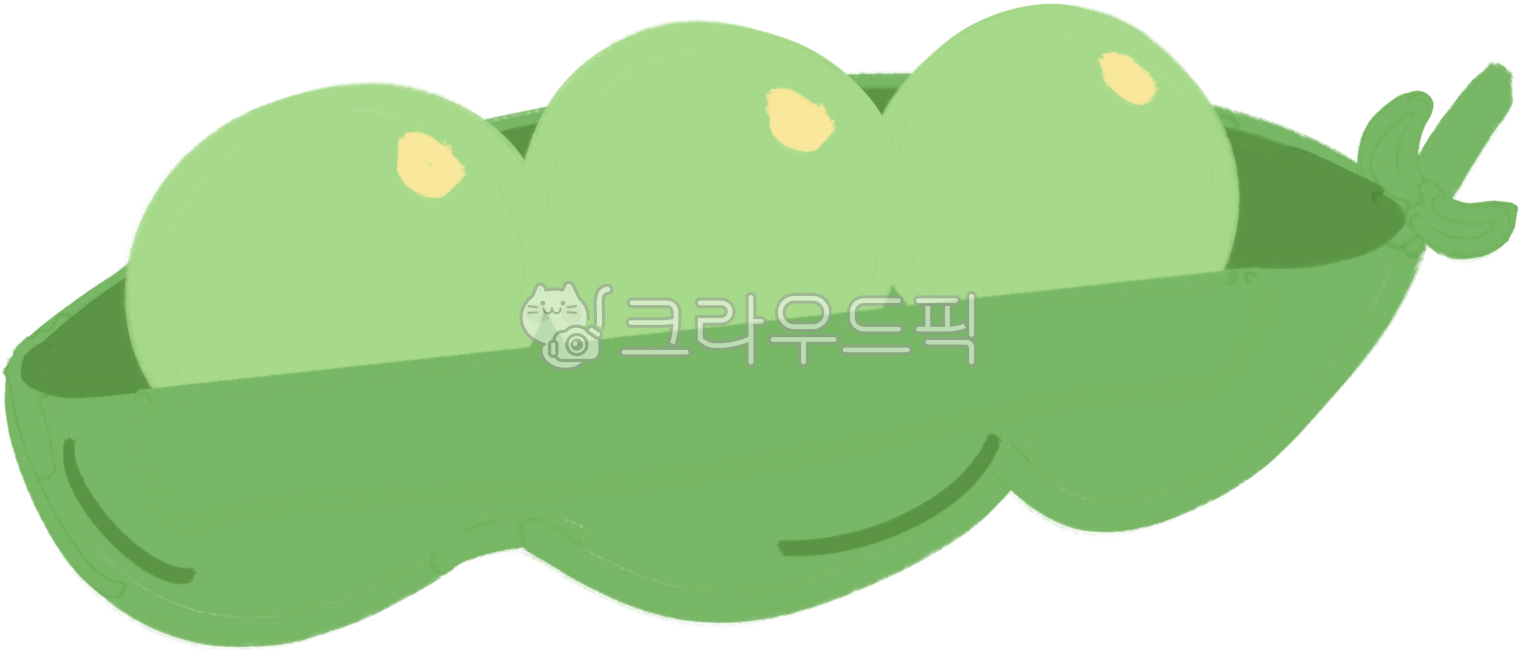 완두콩, 깍지콩, 콩, 농작물, 채소, 사진,이미지,일러스트,캘리그라피 - 김이안작가