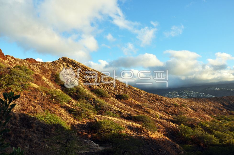 하와이,다이아몬드헤드,헤드,레아,구름,하늘,저녁,다이아몬드,수평선,일출,아름다운,실루엣,대양,주황색,바다,일몰,자연,해,노란색,orange,evening,sun,head,water,sky,sunset,yellow,clouds,horizon,beautiful,leahi,diamond,nature