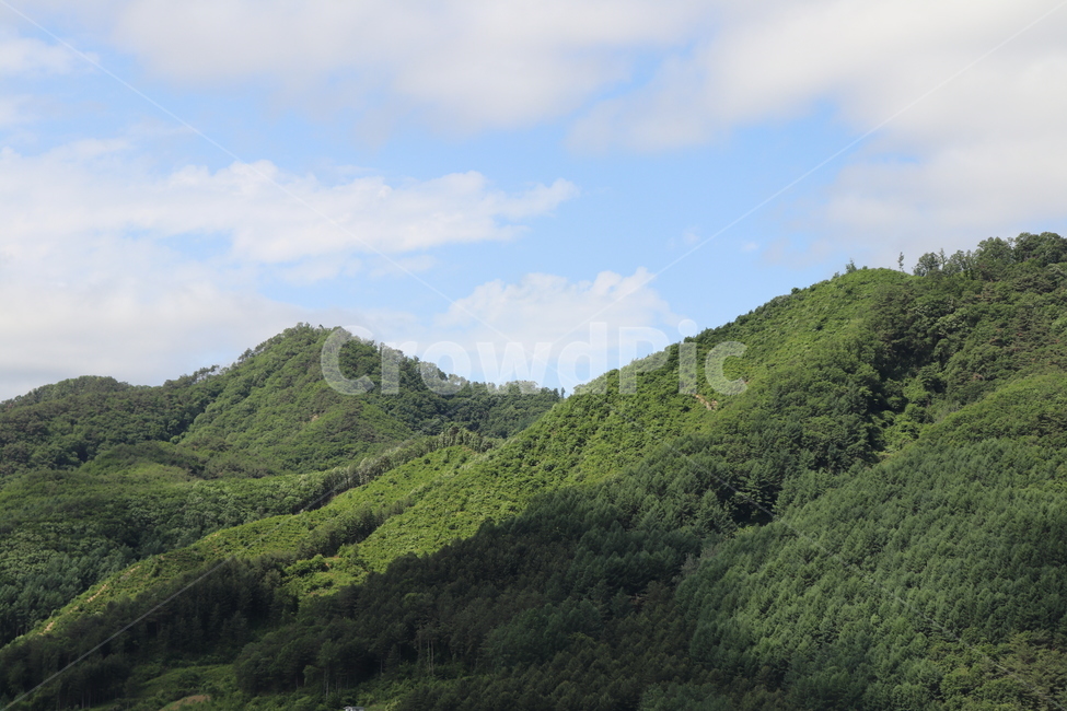 산,초록색,맑은날,청량함,상쾌함,구름그림자,구름,푸른하늘,mountain,tree,green