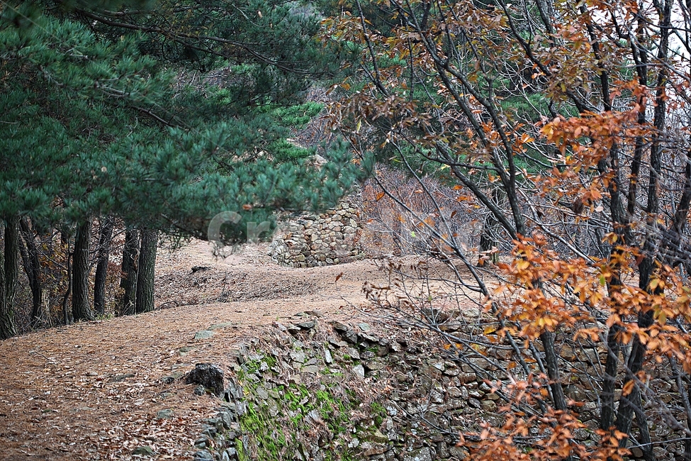 전등사,산성,성,성곽,길,둘레길,숲,숲길,담,돌담,가을,자연,풍경,식물,벽,방어벽,낙엽,단풍,가을,계절,fall,autumn,season,자연,풍경,nature,landscape