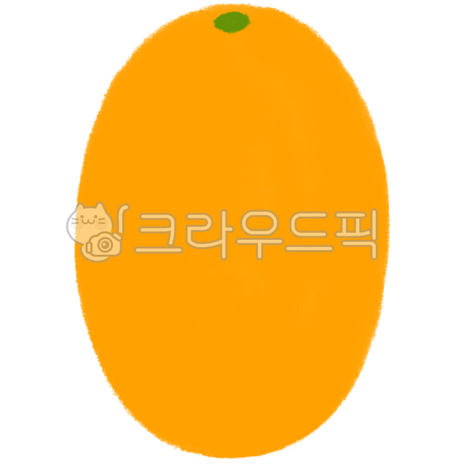 Bbaengkang,bbaengkang illustration,bbaengkang drawing,bbaengkang image,bbaengkang cross section,bbaengkang piece,kumquat,kumquat illustration,kumquat drawing,kumquat image,kumquat cross section,kumquat piece