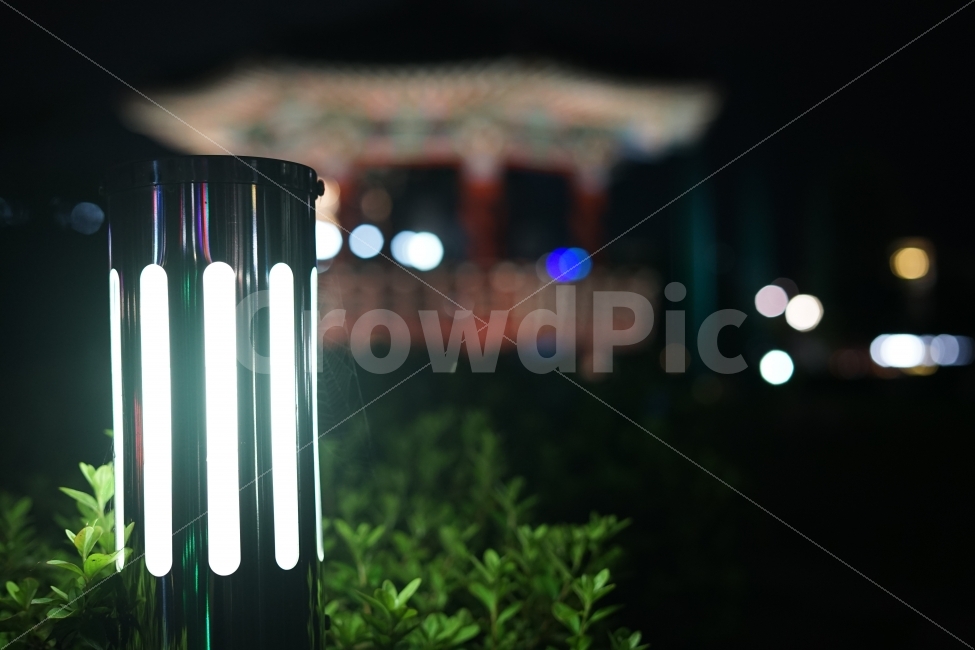 호수공원,밤,전등,빛,불빛,야경,밤,풍경,nightscape,night,landscape