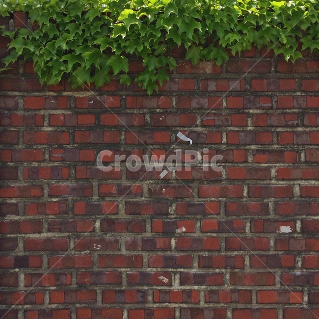 벽,벽돌,wall,brick,감성사진