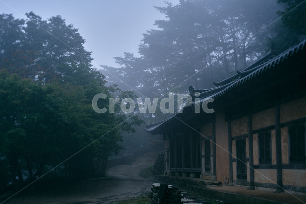 돌,안개,새벽,음산,풍경,길,자연,nature,도로,road,자갈,gravel,흙길,dirtroad,건물,건축물,건물외관,exterior,building,structure,architecture,construction