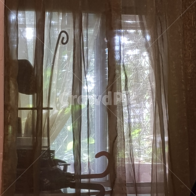 창문,커튼,실루엣,창,창밖,인테리어,실내디자인,interior design