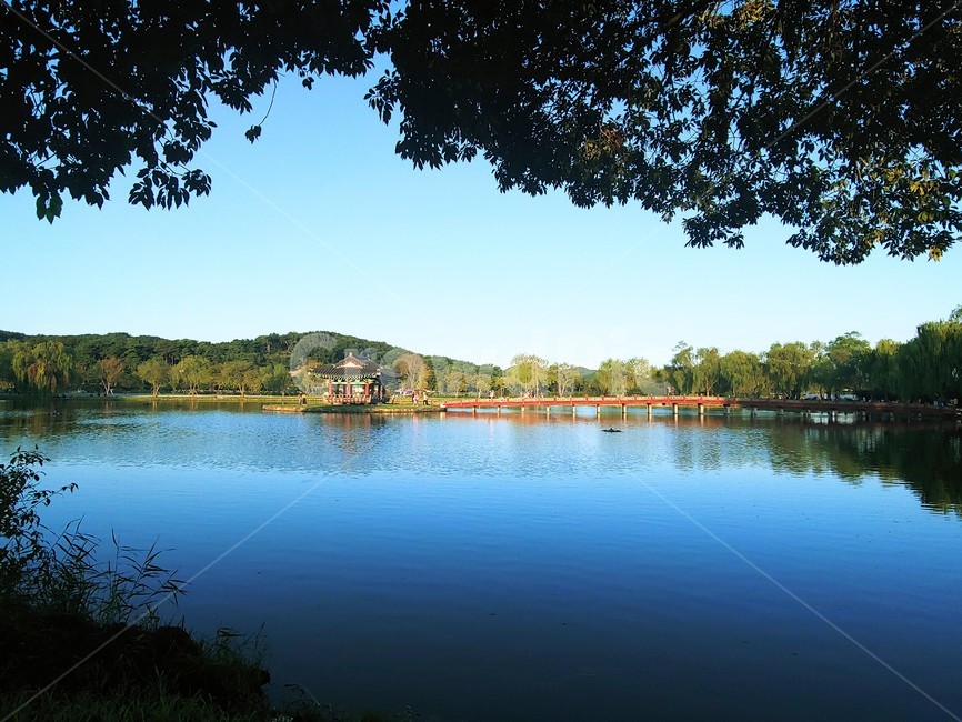 궁남지,호수,lake,자연,풍경,자연,풍경,nature,landscape,water,물,outdoors,옥외