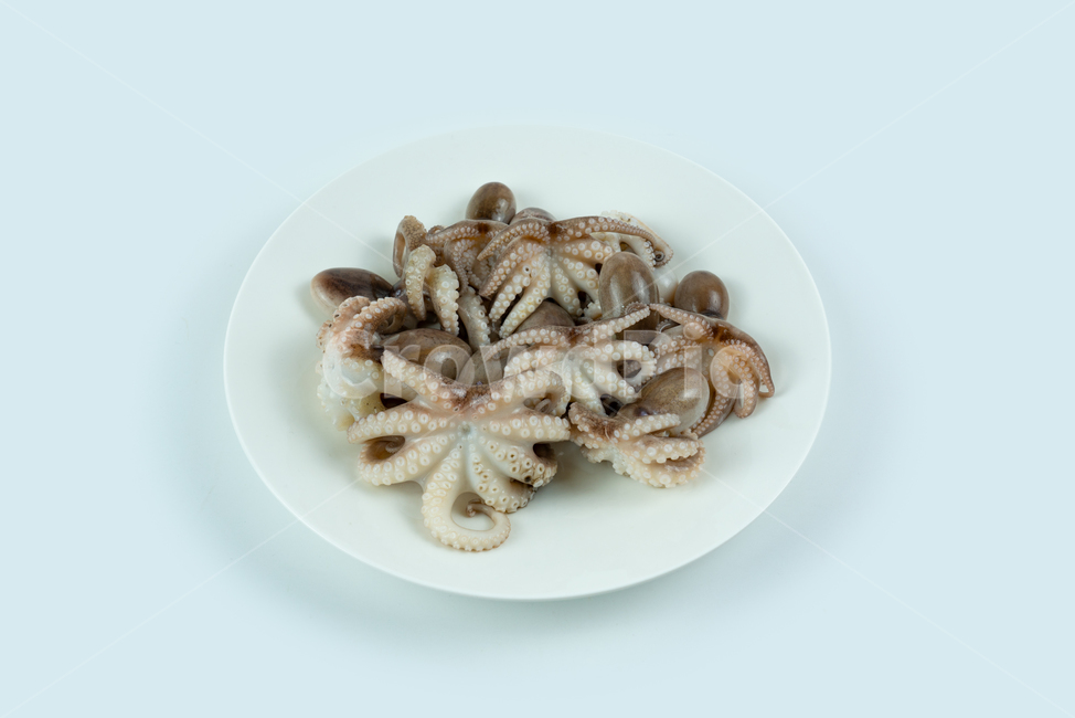 해산물,해물,낙지,주꾸미,요리재료,음식재료,어류,동물,해양생물,문어,싱싱한,신선한,요리,음식,식품,누끼