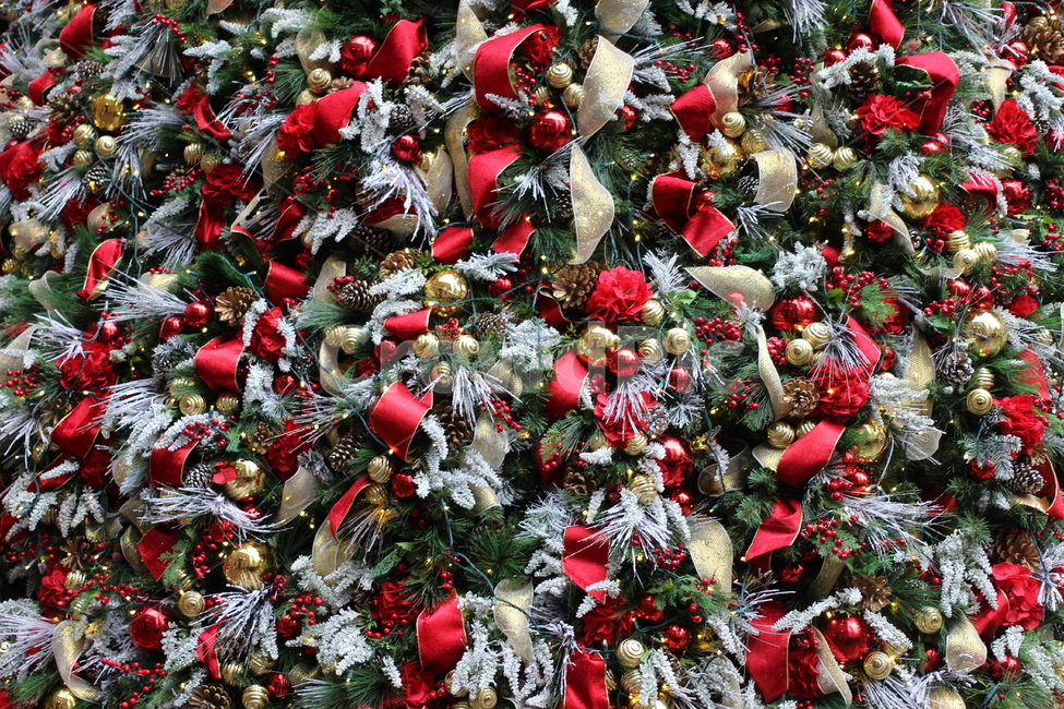 christmas,xmas,christmastree,크리스마스,트리,겨울,계절,winter,season,메리크리스마스,성탄절,merry christmas