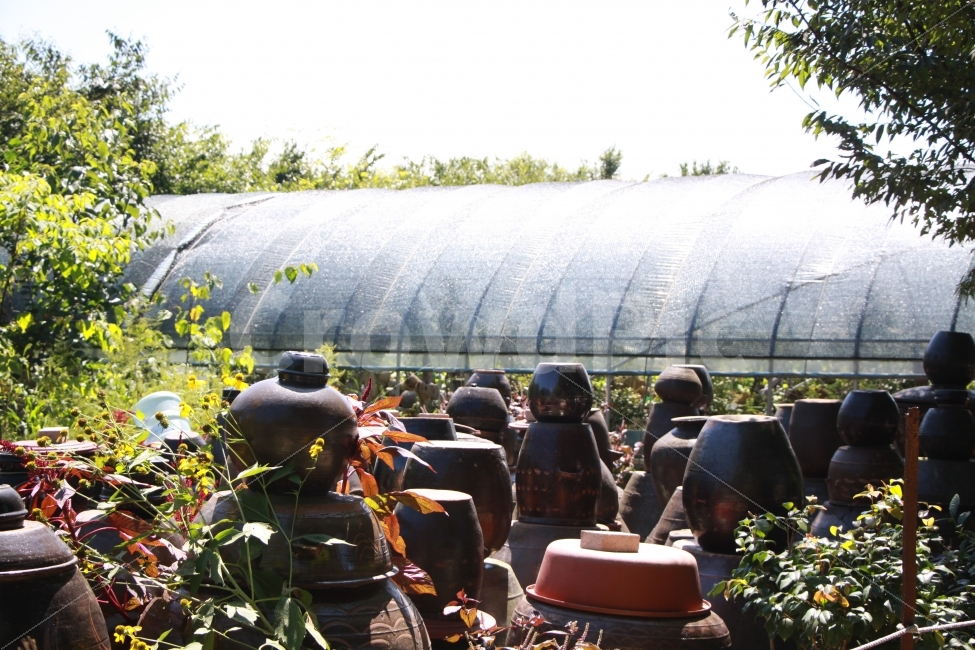 시골,장독대,풍경,장,옛것,시골,마을,풍경,landscape,country,rural,town,한국전통,한국문화,korean traditional,korean culture,사물,물건,오브젝트,thing,object,matter