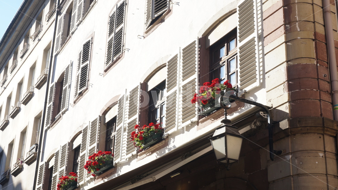 flower,꽃장식,화분,꽃화분,flowerdecoration