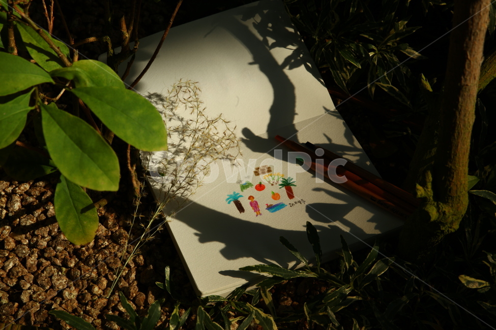 일러스트,그림,풀,나무,그림자,온실,봄,자연