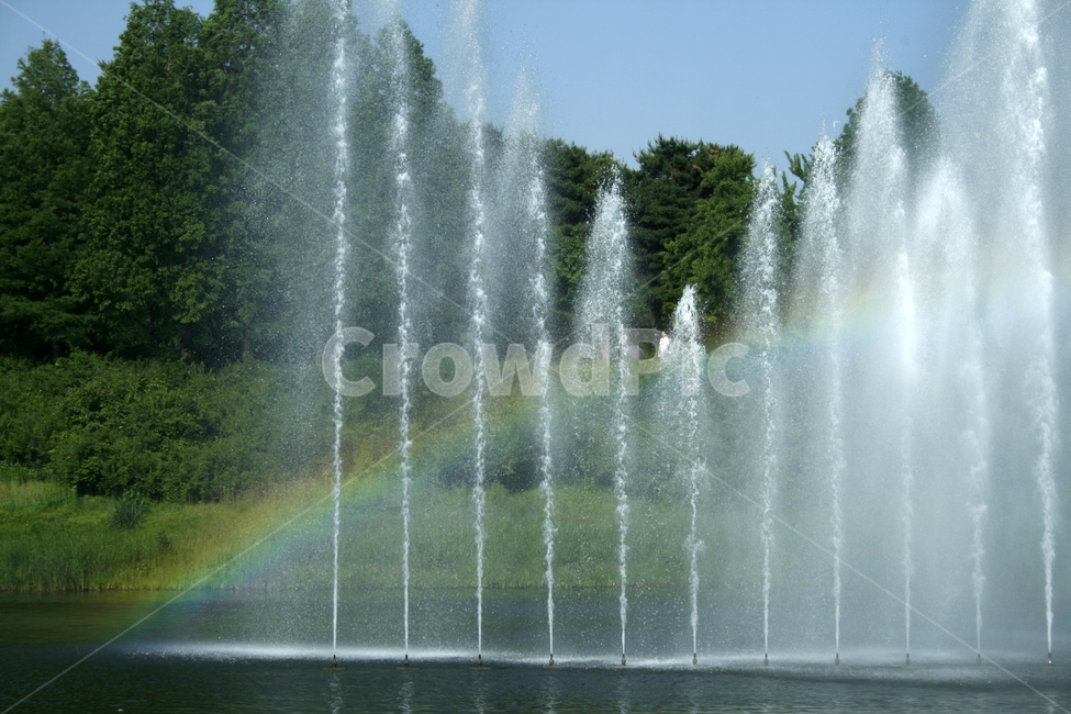 호수,여름,식물,물결,공원,분수,무지개,하늘,자연,풍경,nature,landscape,water,물,fountain