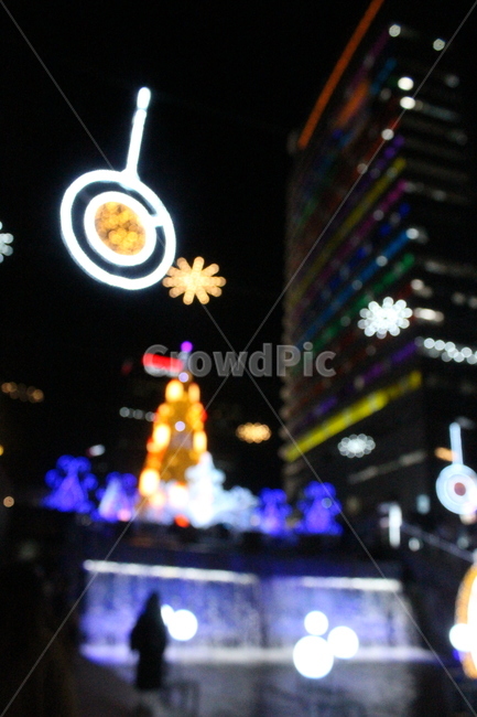lighting,조명,빛,light,야경,밤,night,도시,축제,festival