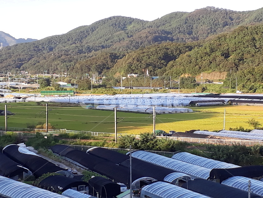 들,들판,마을,시골,비닐하우스,시골,마을,풍경,landscape,country,rural,town
