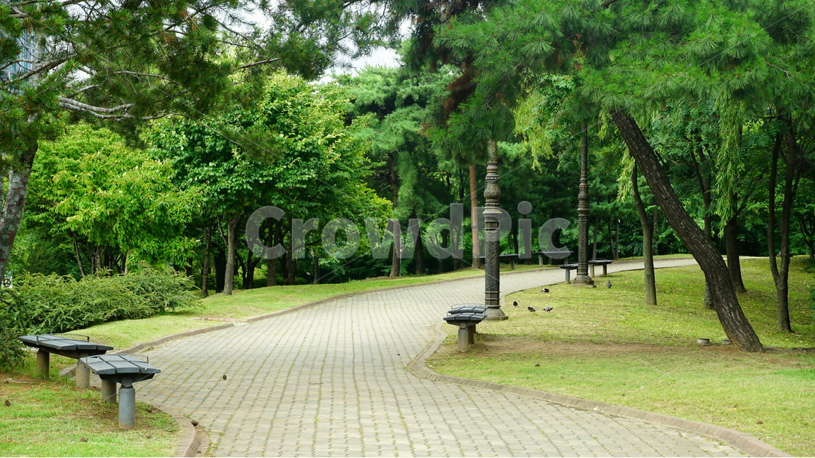 한강,바다,갈매기,공원,서울,자연,풍경,nature,landscape,휴식,힐링,rest,relaxation,healing,bench,벤치