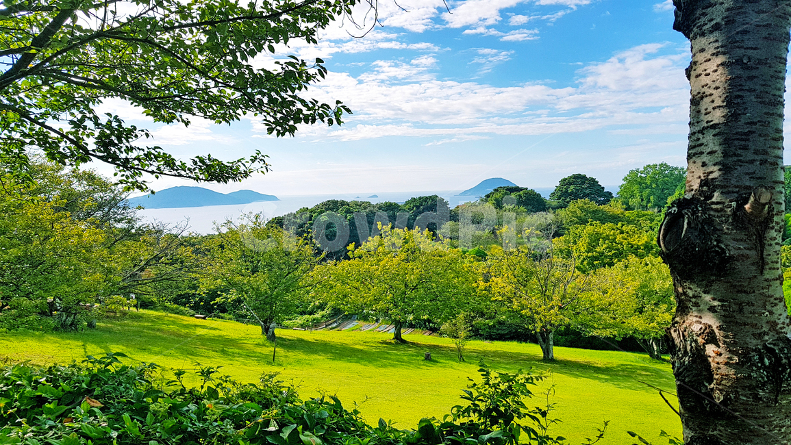 여름,정원,풍경,일본,초록,초록색,봄,녹음,하늘,자연,공원,자연,풍경,nature,landscape,field,들,grassland,목초지,outdoors,옥외,grass,잔디,plant,식물,farm,농장,rural,농촌