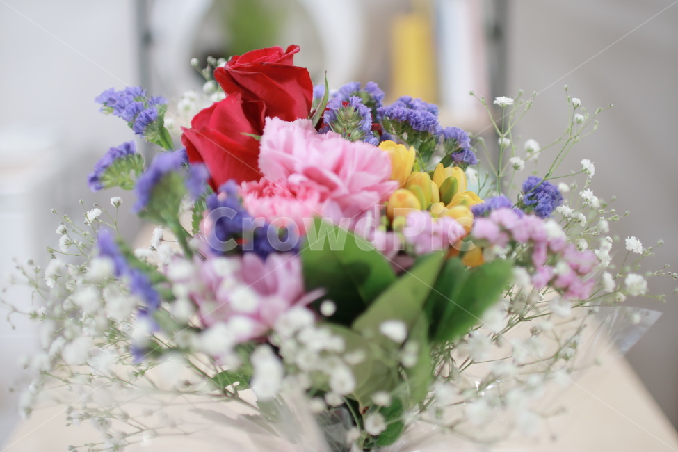 식탁,꽃,화분,화병,꽃다발,꽃,flower