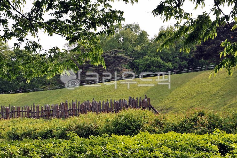 서울,송파구,올림픽,올림픽기념공원,몽촌토성,olympicpark,방이동,자연,field,nature,옥외,outdoors