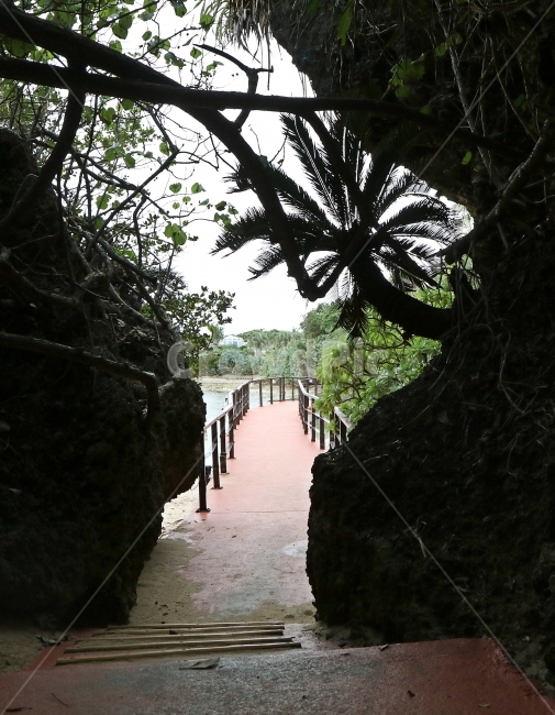 입구,바위,산책로,여행,길,세로사진,자연,나무,좁은,자연,풍경,nature,landscape,outdoors,옥외,arbour,정자,garden,정원
