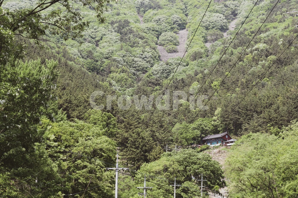 자연,산,절,초록색,초여름,자연,풍경,nature,landscape,outdoors,옥외