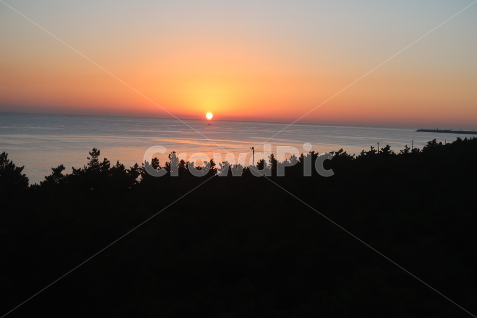 자연,일출,바다,태양,숲,소나무,동해,하늘,해돋이,자연,풍경,nature,landscape,outdoors,옥외,sky,dusk,황혼,sunset,일몰,dawn,새벽,red sky,붉은 하늘