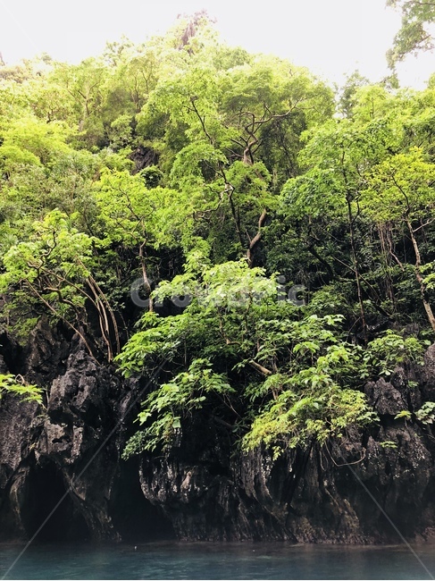 바다,일상,뷰,감성,자연,자연,풍경,nature,landscape,vegetation,초목,plant,식물,rainforest,열대 우림,outdoors,옥외,tree,나무,land,땅,jungle,밀림