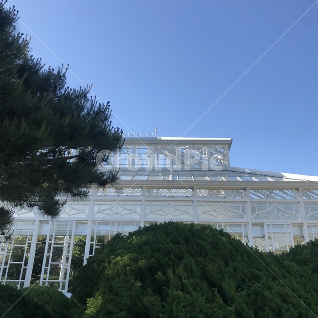 창경궁,궁,산책,공원,자연,한국정원,정원,가든,강,휴식,힐링,나무,연못,여름,분수,분수대,궁전,자연환경,풍경,그림자,식물원,창문,식물