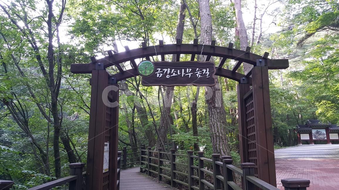 간판,길,숲길,두레길초입,시작점