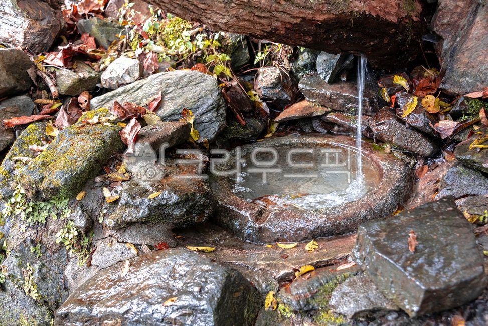 샘물,물,맑은,바위,낙엽,water,옹달샘