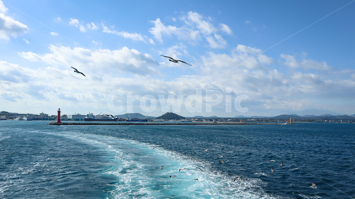바다,갈매기,파도,힐링,하늘,자연,풍경,nature,landscape,adventure,모험,leisure activities,레저 활동,bird,새,animal,동물,outdoors,옥외,flying,나는,ocean,대양,sea,water,물