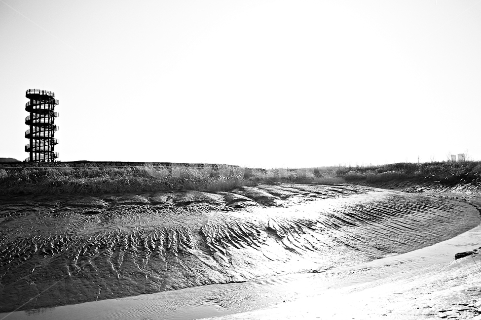 전망대,생태공원,갯골,풍경,자연,배경,자연,풍경,nature,landscape,한국자연풍경,한국자연경관,korea nature landscape