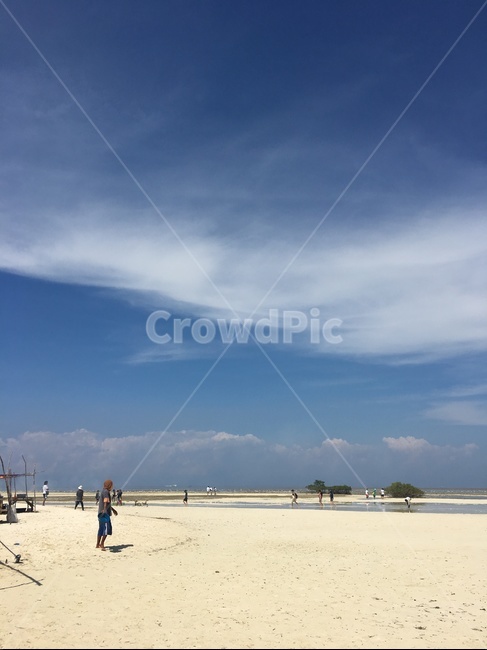 해수욕장,바다,나무,하늘,맑음,자연,풍경,nature,landscape,해변,바다,beach,sea,outdoors,옥외,land,땅,shoreline,해안선,water,물,ocean,대양