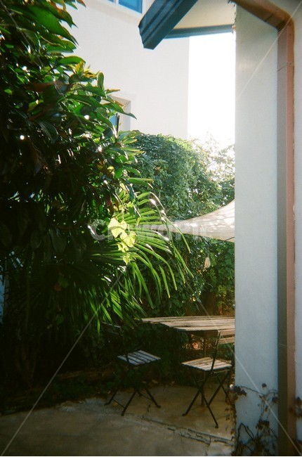카페,풍경,빛,light,정원,garden