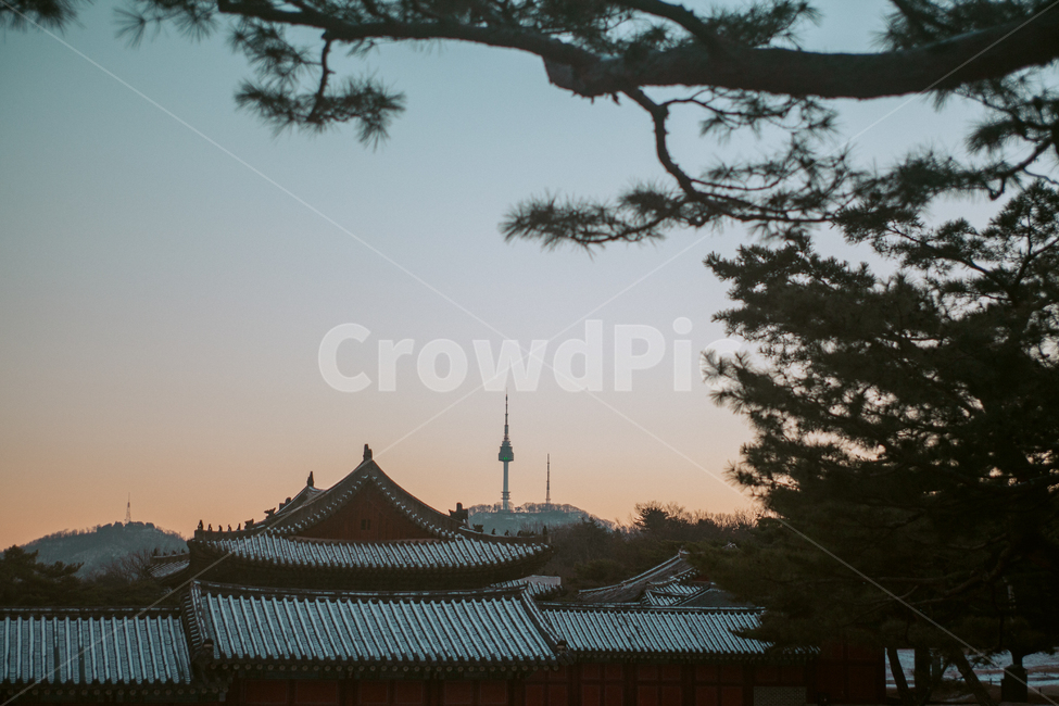 창경궁,남산타워,한옥,노을,풍경,랜드마크,서울,seoul,한국전통,한국문화,korean traditional,korean culture,랜드마크,landmark,tourist attraction,한국랜드마크,한국관광지,한국명소,korea landmark,korea tourist attraction,건축물,건물외관,exterior,building,structure,architecture,construction